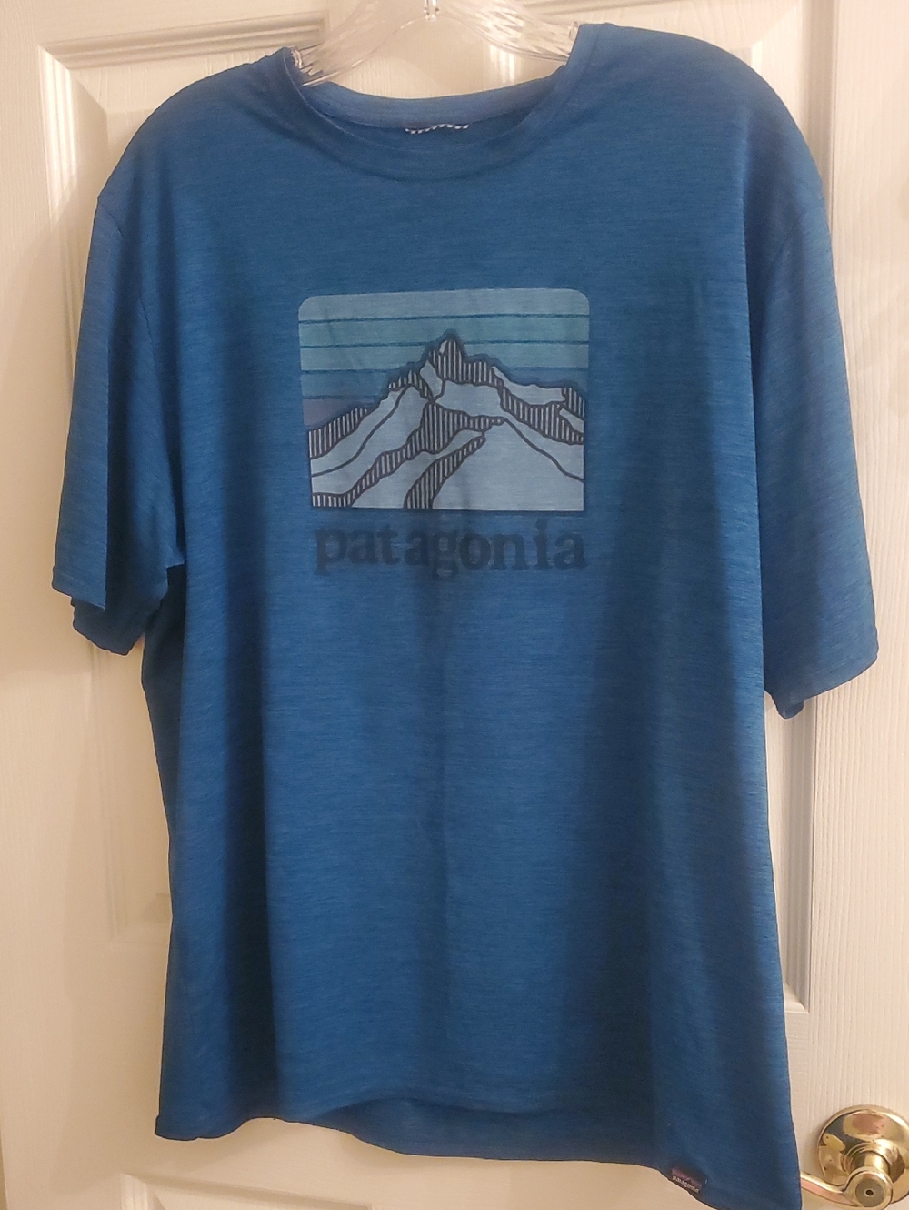 Patagonia Men's Capilene Cool Daily Graphic T Shirt Large Logo Blue Shirt